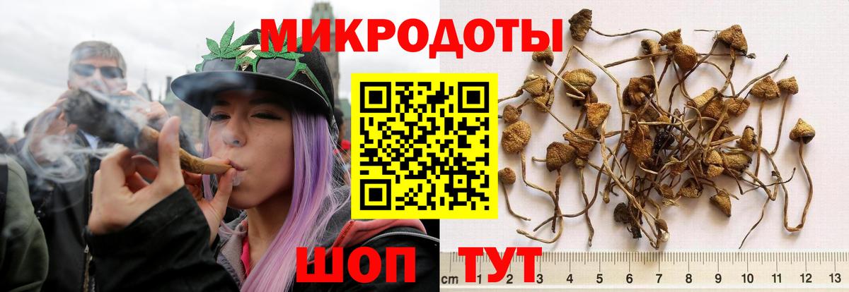 Псилоцибиновые грибы MAGIC MUSHROOMS  где найти наркотики  Кунгур  Вход с VPN 