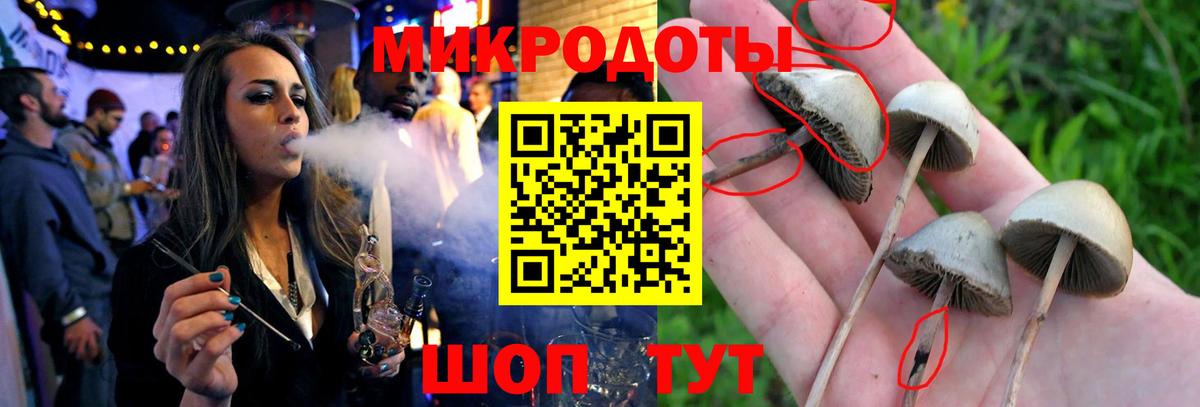 Галлюциногенные грибы мицелий Кунгур